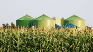 Investir dans le gaz vert, c&rsquo;est investir dans la bioénergie