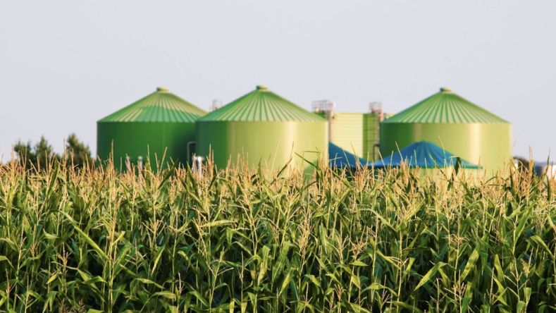 Investir dans le gaz vert, c'est investir dans la bioénergie investir dans le gaz vert, c'est investir dans la bioénergie